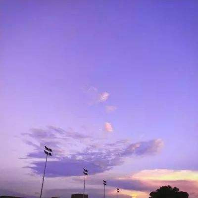 金年汇app官方网截图